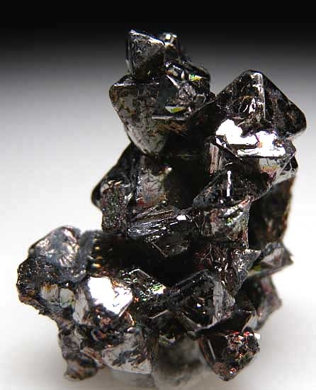 Carrollite from Kambove, Shaba Prov., Congo [db_pics/pics/af108a.jpg]