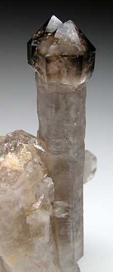 Quartz scepter from Namaqualand, Northern Cape Province, South Africa [db_pics/pics/af169b.jpg]