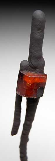 Vanadinite on Goethite from Taouz, Morocco [db_pics/pics/af320b.jpg]