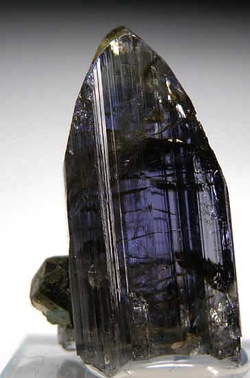 Pyrite on Tanzanite from Merelani Hills, Lelatema Mtns., Arusha Region, Tanzania [db_pics/pics/af388c.jpg]