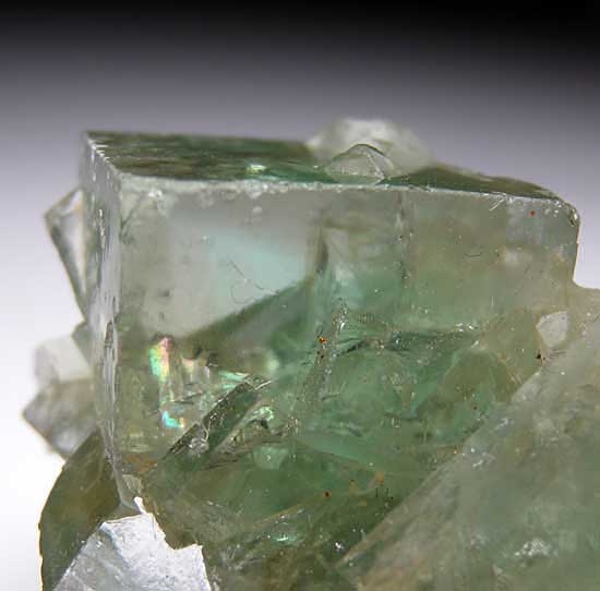 Fluorite from El Hammam, Morocco [db_pics/pics/af400c.jpg]