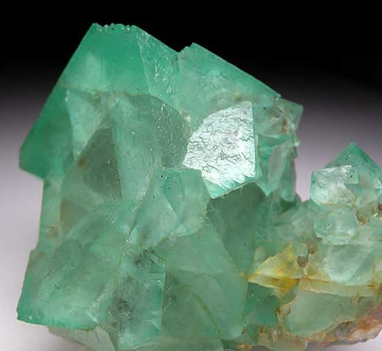 Fluorite from Reimvasmaak, Northern Cape Prov., South Africa [db_pics/pics/af423d.jpg]