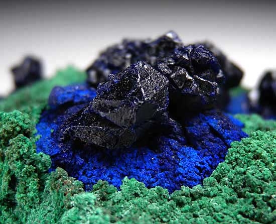 Azurite on Malachite from Bou Bekker Mine, Toussit District, Oujda-Angad Prov., Morocco [db_pics/pics/af432c.jpg]