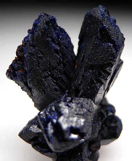 Azurite from Bou Bekker Mine, Toussit District, Oujda-Angad Prov., Morocco [db_pics/pics/af442c.jpg]