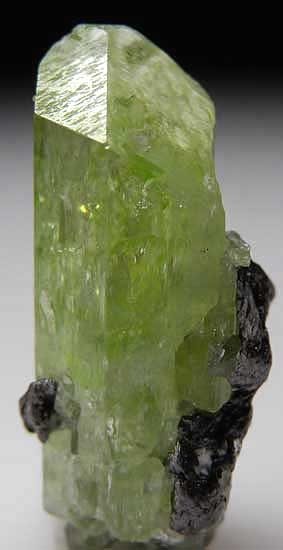 Diopside with Graphite from Merelani Hills, Lelatema Mtns., Arusha Region, Tanzania [db_pics/pics/af453b.jpg]
