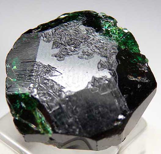 Dravite from Nchongo, Umba Valley, Tanzania [db_pics/pics/af456a.jpg]