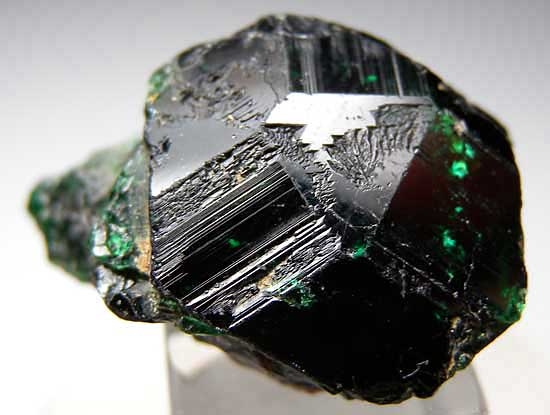 Dravite from Nchongo, Umba Valley, Tanzania [db_pics/pics/af460a.jpg]