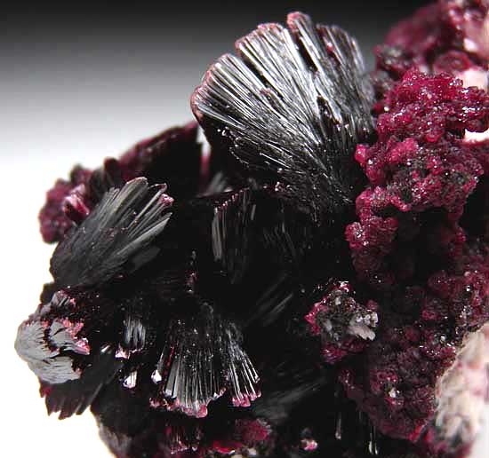 Erythrite from Bou Azzer, Morocco [db_pics/pics/af477c.jpg]