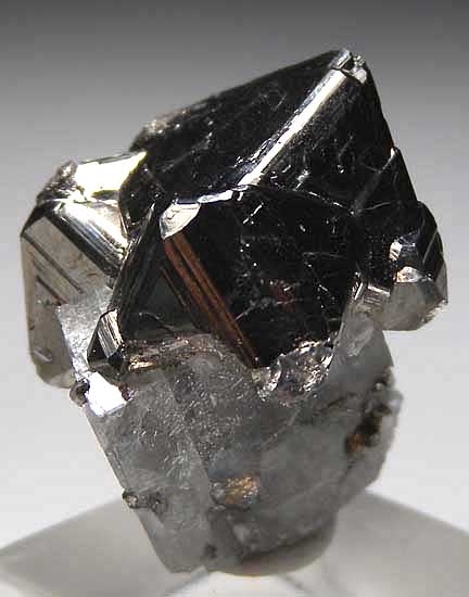 Carrollite from Kamoya South Mine, Kambove, Katanga, Congo [db_pics/pics/af531c.jpg]