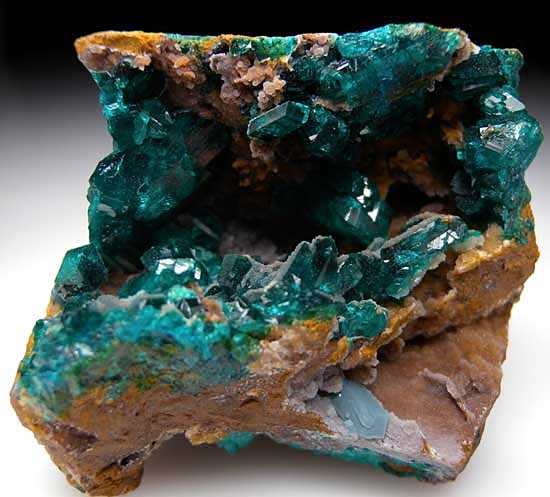 Dioptase from Tantara Mine, Shinkolobwe, Katanga, Congo [db_pics/pics/af548a.jpg]