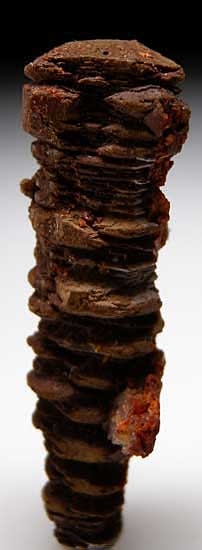 Ettringite from N'Chwanning Mine, Kuruman, South Africa [db_pics/pics/af55a.jpg]