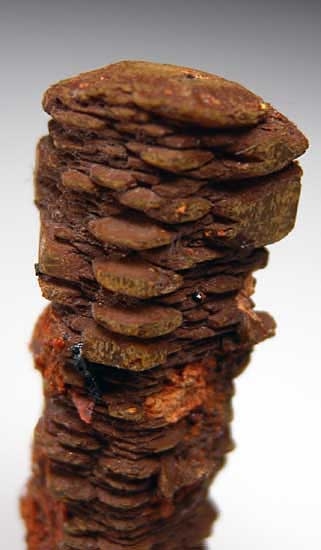 Ettringite from N'Chwanning Mine, Kuruman, South Africa [db_pics/pics/af55b.jpg]