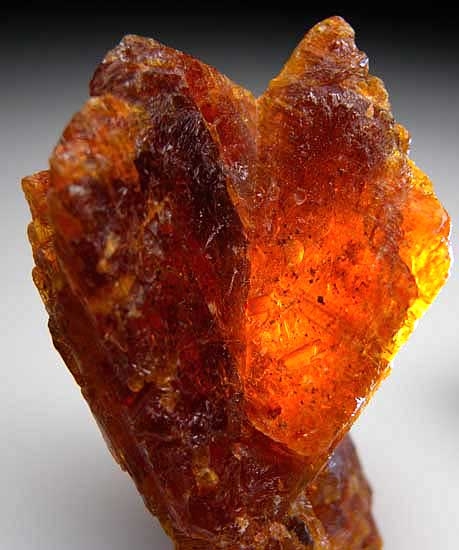 Kyanite from Nani, Loliondo, Arusha Region, Tanzania [db_pics/pics/af612b.jpg]