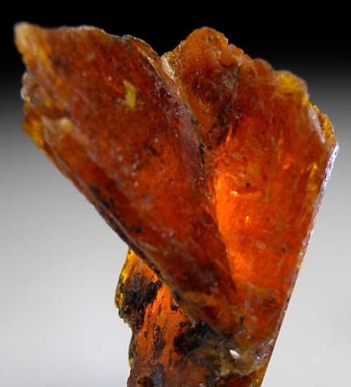 Kyanite from Nani, Loliondo, Arusha Region, Tanzania [db_pics/pics/af614b.jpg]