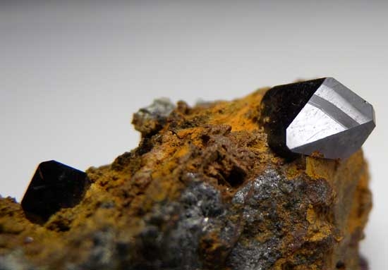 Scorodite from Bou Azzer, Morocco [db_pics/pics/af665b.jpg]