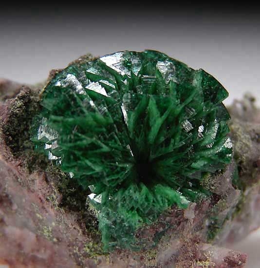 Cuprian Adamite from Tsumeb, Namibia [db_pics/pics/af696d.jpg]