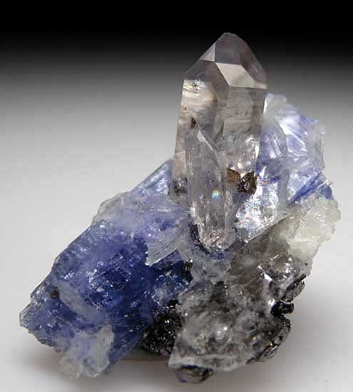 Quartz on Tanzanite from Merelani Hills, Lelatema Mtns., Arusha Region, Tanzania [db_pics/pics/af728c.jpg]