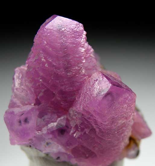 Cobaltian Calcite from Shaba Prov., Congo [db_pics/pics/af730b.jpg]