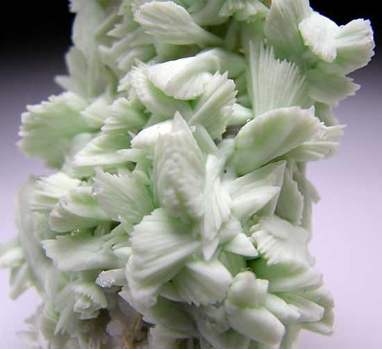Hemimorphite on Apatite pseudo. Tarbutite from Skorpion Mine, Rosh Pinah, Namibia [db_pics/pics/af742c.jpg]