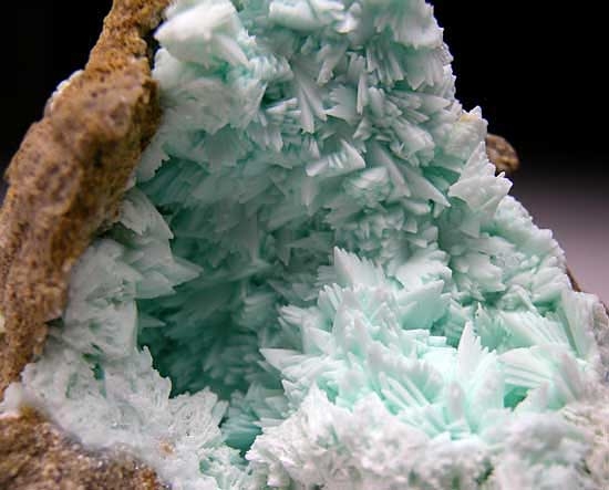 Apatite pseudo. Tarbutite from Skorpion Mine, Rosh Pinah, Namibia [db_pics/pics/af745b.jpg]