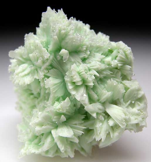 Hemimorphite on Apatite pseudomorph after Tarbutite from Skorpion Mine, Rosh Pinah, Namibia [db_pics/pics/af751b.jpg]
