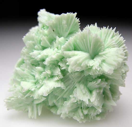 Hemimorphite on Apatite pseudomorph after Tarbutite from Skorpion Mine, Rosh Pinah, Namibia [db_pics/pics/af752b.jpg]