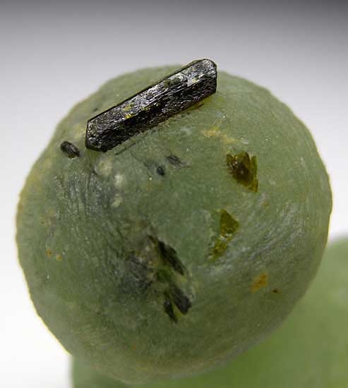 Epidote on Prehnite from Djouga, Bendougou, Kayes Region, Mali [db_pics/pics/af765c.jpg]