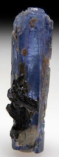 Schorl on Jeremejevite from Ameib Ranch, Arandis, Erongo Region, Namibia [db_pics/pics/af767a.jpg]