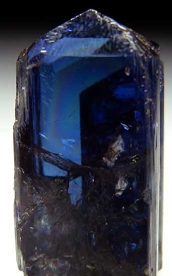 Pyrite on Tanzanite from Merelani Hills, Tanzania [db_pics/pics/af770c.jpg]