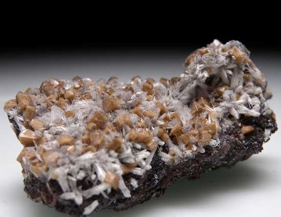 Poldervaartite with Bulfonteinite from N'Chwanning Mine, Kuruman, South Africa [db_pics/pics/af782b.jpg]