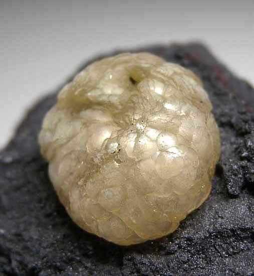 Brucite on Manganite from N'Chwanning Mine, Kuruman, South Africa [db_pics/pics/af803b.jpg]