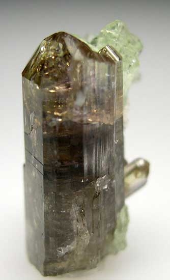 Diopside on Tanzanite from Merelani Hills, near Arusha, Tanzania [db_pics/pics/af811c.jpg]