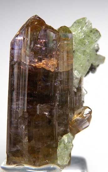 Diopside on Tanzanite from Merelani Hills, near Arusha, Tanzania [db_pics/pics/af811f.jpg]