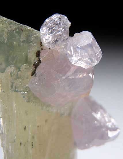 Sapphire on Scapolite from Mpwapwa, Tanzania [db_pics/pics/af812d.jpg]