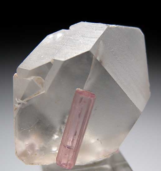 Elbaite on Quartz from Uis Pegmatite, Kunene Region, Namibia [db_pics/pics/af927d.jpg]