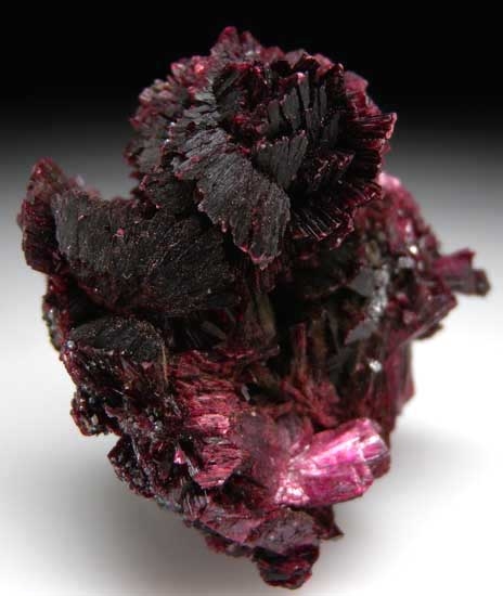 Erythrite from Bou Azzer, Morocco [db_pics/pics/af934a.jpg]
