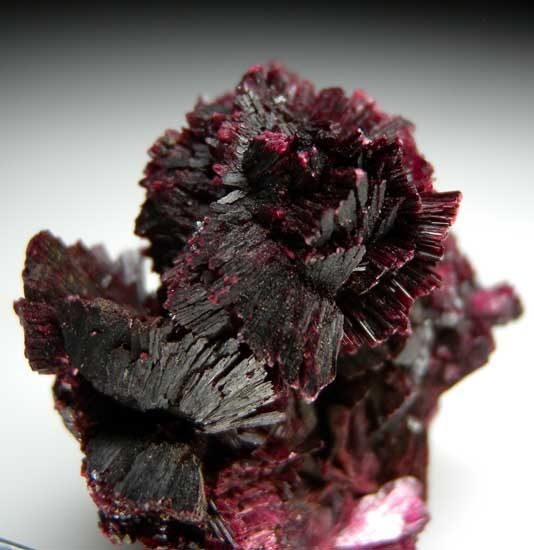 Erythrite from Bou Azzer, Morocco [db_pics/pics/af934d.jpg]