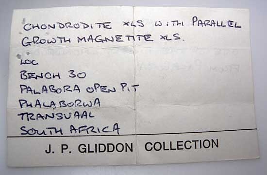 Chondrodite with Magnetite from Palabora Open Pit, Phalaborwa, Transvaal, South Africa [db_pics/pics/af935b.jpg]