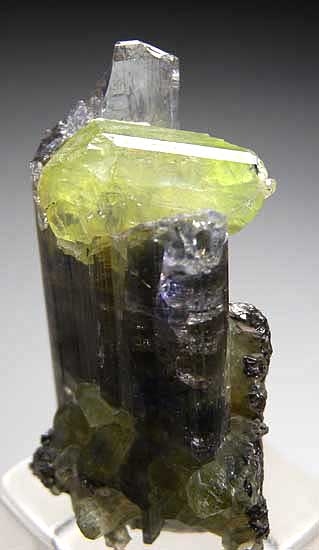 Diopside on Tanzanite from Merelani Hills, Lelatema Mtns., Arusha Region, Tanzania [db_pics/pics/af954c.jpg]