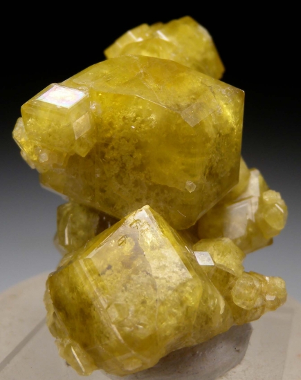 Andradite from Plan de Gallos, Piedra Parada, Las Vigas, Veracruz, Mexico [db_pics/pics/au116a.jpg]