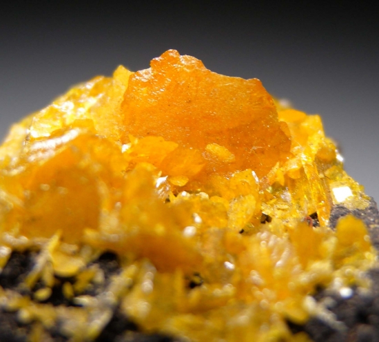 Stolzite from Broken Hill, New South Wales, Australia [db_pics/pics/au157c.jpg]