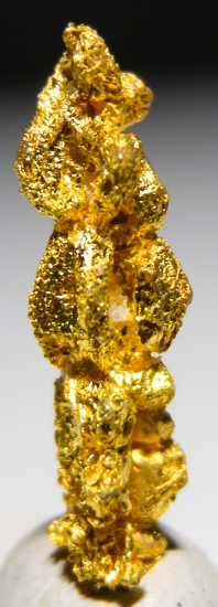 Gold from Aouint Ighoumane, Assa-Zag Province, Guelmim-Oued Noun Region, Morocco [db_pics/pics/au169b.jpg]