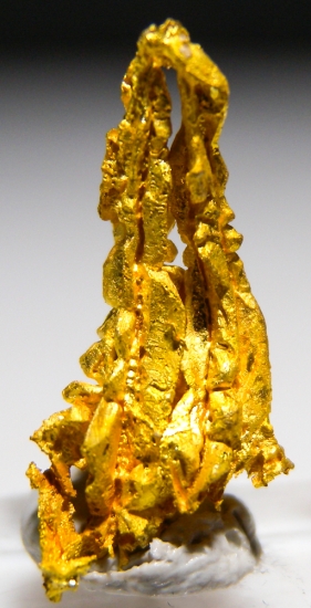 Gold from Aouint Ighoumane, Assa-Zag Province, Guelmim-Oued Noun Region, Morocco [db_pics/pics/au170a.jpg]
