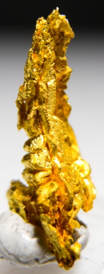 Gold from Aouint Ighoumane, Assa-Zag Province, Guelmim-Oued Noun Region, Morocco [db_pics/pics/au170b.jpg]