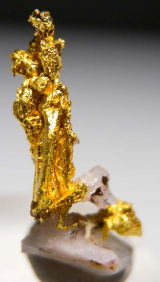 Gold on Quartz from Aouint Ighoumane, Assa-Zag Province, Guelmim-Oued Noun Region, Morocco [db_pics/pics/au172a.jpg]