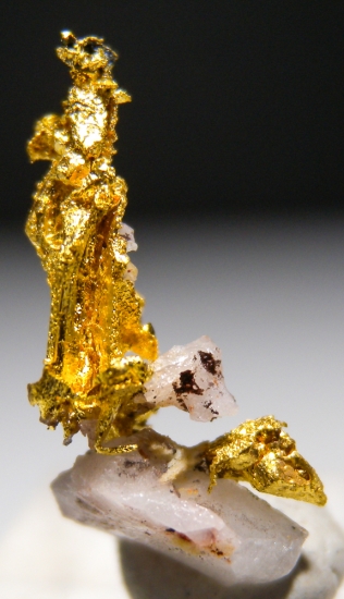 Gold on Quartz from Aouint Ighoumane, Assa-Zag Province, Guelmim-Oued Noun Region, Morocco [db_pics/pics/au172b.jpg]
