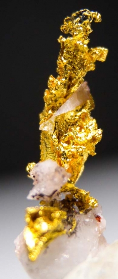 Gold on Quartz from Aouint Ighoumane, Assa-Zag Province, Guelmim-Oued Noun Region, Morocco [db_pics/pics/au172c.jpg]