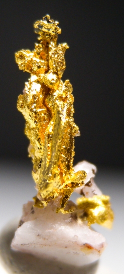 Gold on Quartz from Aouint Ighoumane, Assa-Zag Province, Guelmim-Oued Noun Region, Morocco [db_pics/pics/au172e.jpg]