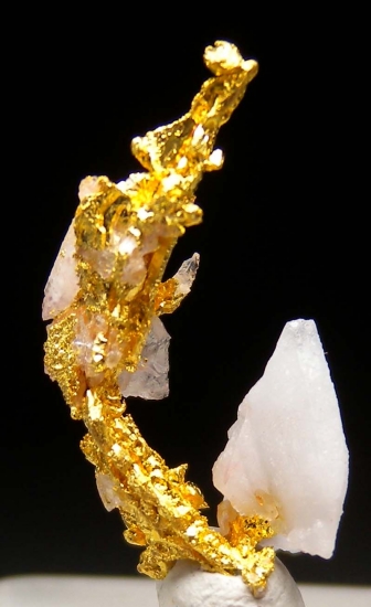 Gold on Quartz from Aouint Ighoumane, Assa-Zag Province, Guelmim-Oued Noun Region, Morocco [db_pics/pics/au173a.jpg]
