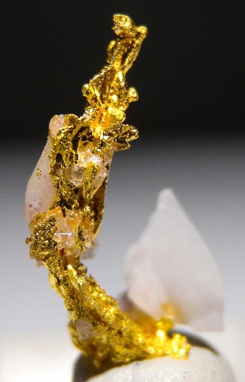 Gold on Quartz from Aouint Ighoumane, Assa-Zag Province, Guelmim-Oued Noun Region, Morocco [db_pics/pics/au173b.jpg]